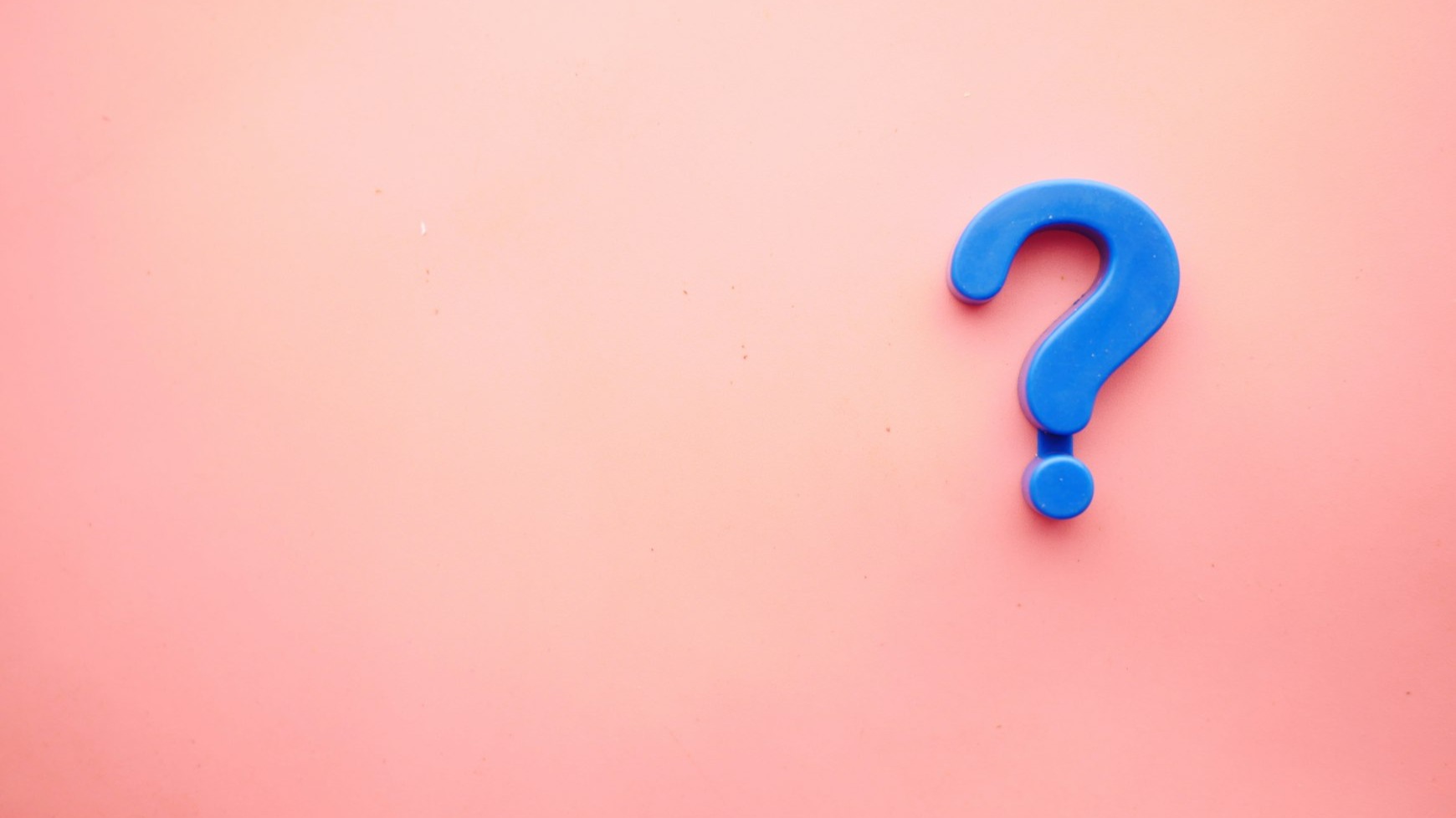 Foodmarket Quiz