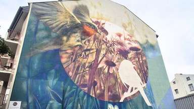 Street Art Tour Bonn