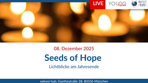 Seeds of Hope – Lichtblicke am Jahresende