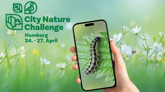City Nature Challenge 2026