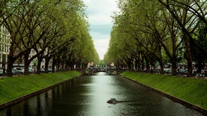 Vom Wissen zum Handeln: Biodiversität in der Stadt