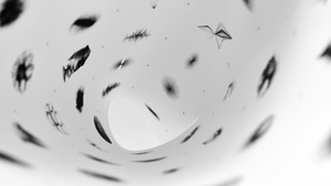 Künstlerführung Spiel der Formen