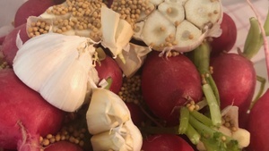 freitagsküche Workshop • Allein machen sie dich ein – Eine kollektive Fermentationsaktion