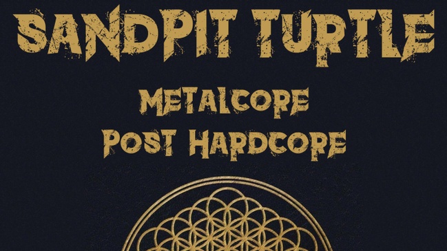 Sandpit Turtle
