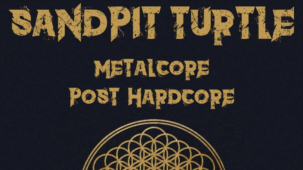 Sandpit Turtle