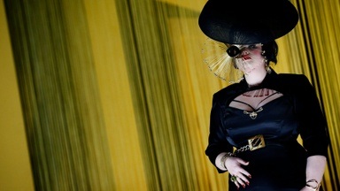 Die Fledermaus