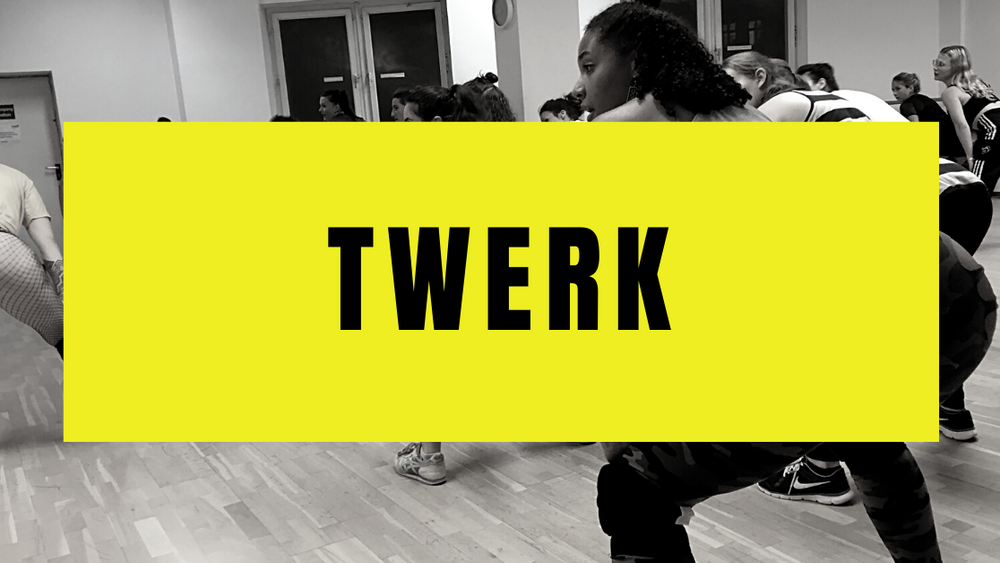 Twerk Tanzworkshop - Basics & Choreo