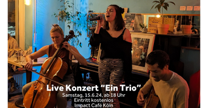 Live-Konzert "Ein Trio"