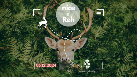 NICE x Reh - 🦌x 🦊 - Ein Veedel - Eine Botschaft! - Closing Party