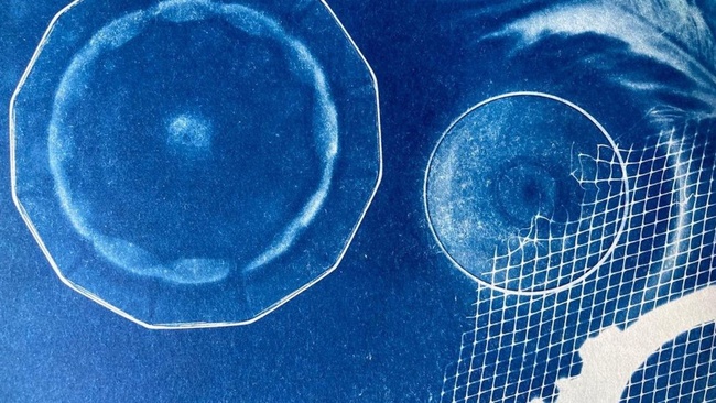 I'M BLUE (DA-BE-DEE) · Cyanotypie Workshop