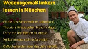 Imkerkurs "Mit den Bienen durchs Jahr" (München)