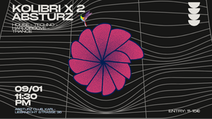 Kolibri x Absturz Vol. 2