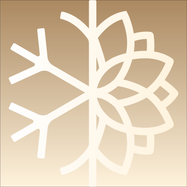 The Spa of the Future - IceSpa