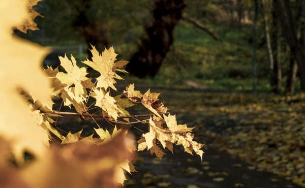 What's happening in Munich in November 2025?