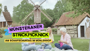 2. Münsteraner Strickpicknick