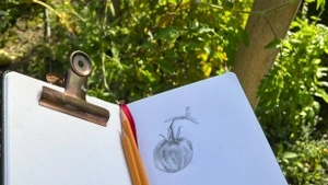 Zeichnen in der Flora