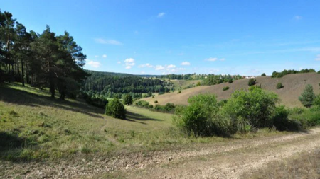 Unterwegs auf den Magerrasenflächen im Labertal – Kräuterwanderung