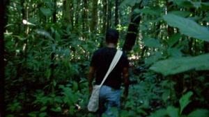 Breathing Matter(s): Memories of Representation – Kurzfilmprogramm