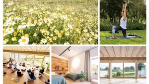 Flow into Nature – (D)ein Yin-Yang Yoga Sommer Retreat
