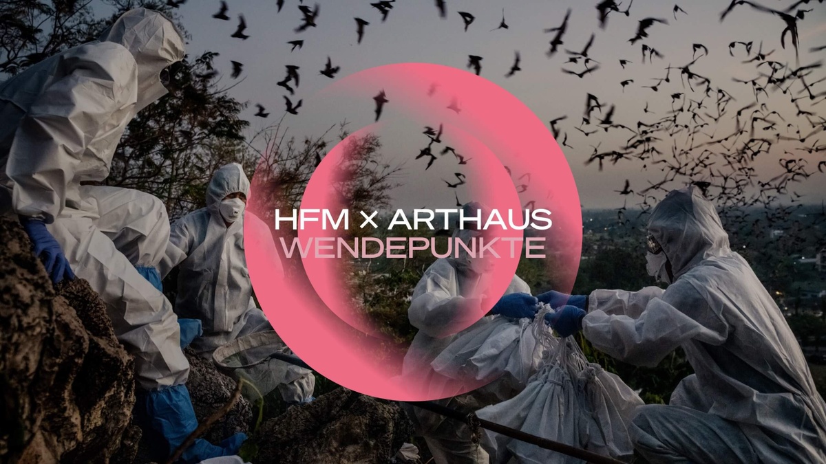 Haus für Film und Medien e.V.