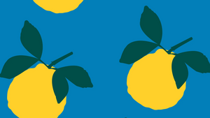 Food Forest for Democracy: After-Work Gardening