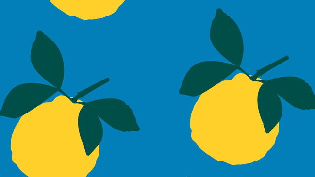 Food Forest for Democracy: After-Work Gardening
