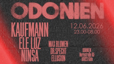 Die Kaufmann und Ele Luz und UnderDive in Odonien