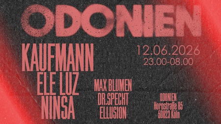 Die Kaufmann und Ele Luz und UnderDive in Odonien