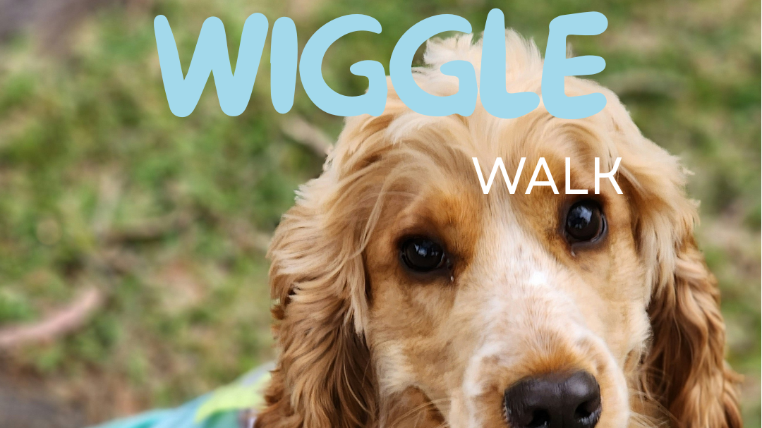 Titelbild der Veranstaltung Wiggle Walk Cologne 🐕