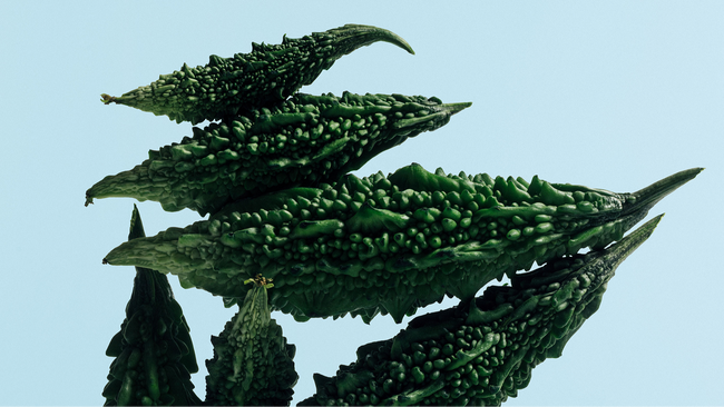 Die ganze Welt war einmal… – Musikalische Reflexionen zu Szenen und Themen aus John Miltons „Paradise Lost“ | zamus: early music festival 2026