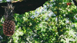 Agentur Zeitvertreib