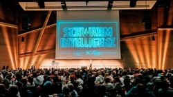 Schwarmintelligenz - Das Quiz
