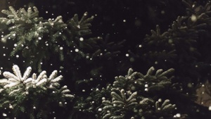 Weihnachtsmarkt Anleger