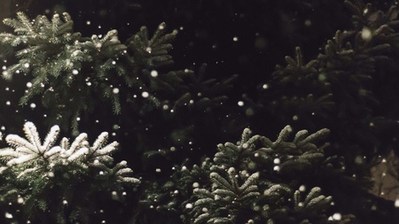 Weihnachtsmarkt Anleger