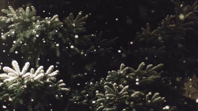 Weihnachtsmarkt Anleger