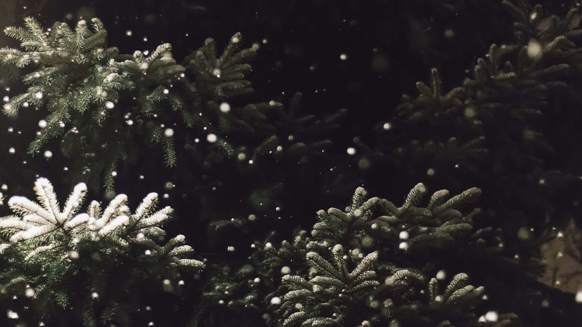 Weihnachtsmarkt Anleger