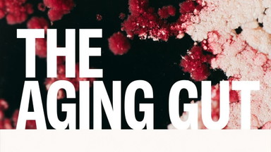 The Aging Gut: The Microbiome's Role in Longevity