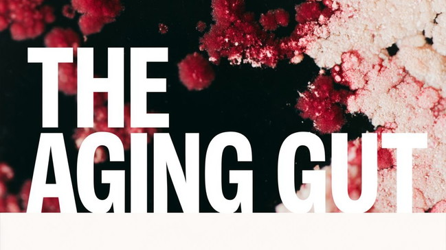The Aging Gut: The Microbiome's Role in Longevity