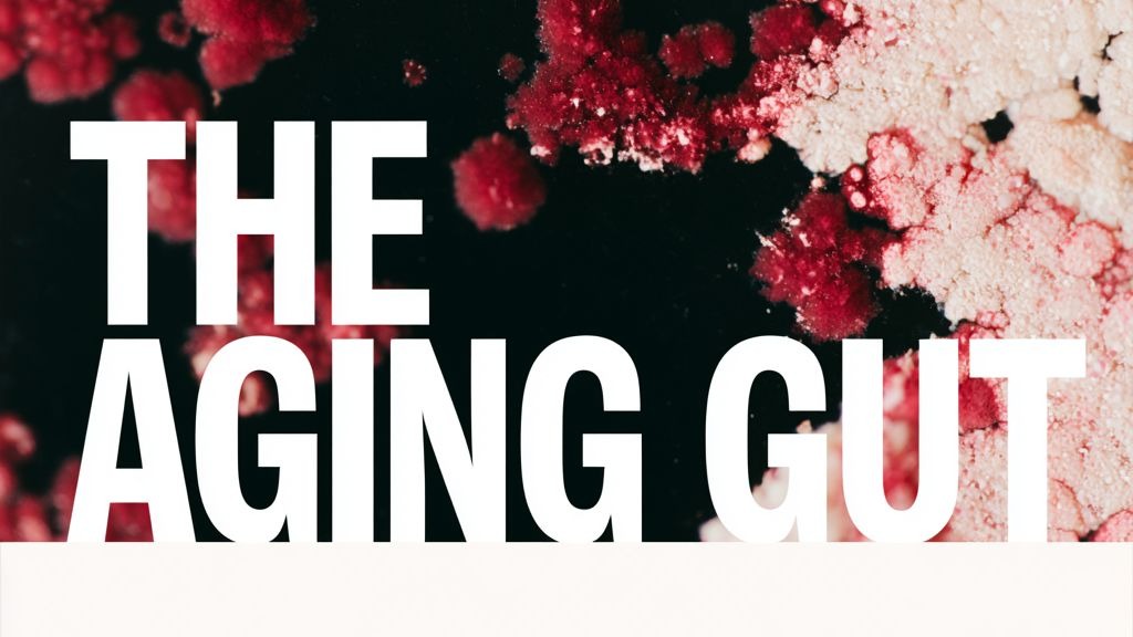 Titelbild der Veranstaltung The Aging Gut: The Microbiome's Role in Longevity