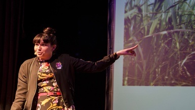 Science Slam in Hamburg im September 2026
