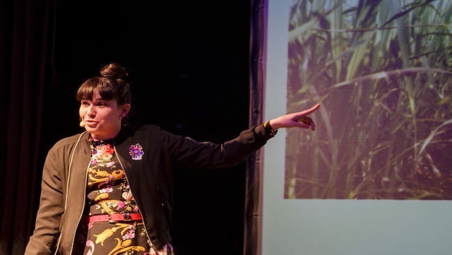 Science Slam in Hamburg im September 2026