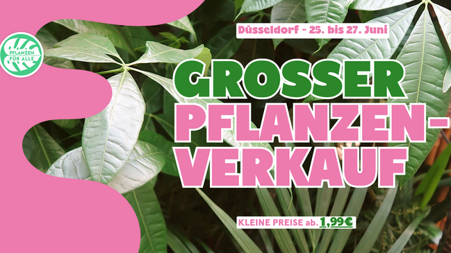 Großer Pflanzenverkauf Düsseldorf
