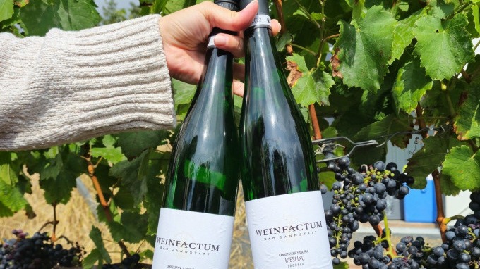 Weinsafari
