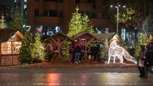 Winterwald im Ansgari Quartier Bremen