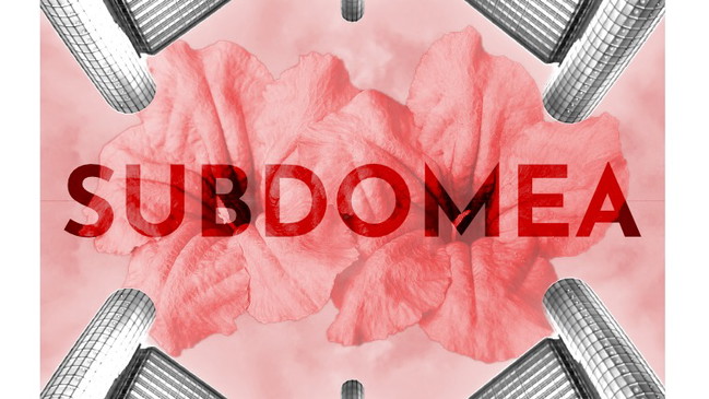 Subdomea