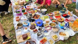 Veganes mitbring Picknick - Köln