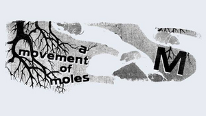 Queere Literatur und ihre Auslöschung im Nationalsozialismus