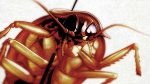 PAPA ROACH by ROACH RESORT