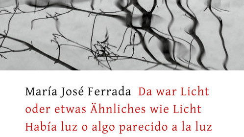 Da war Licht oder etwas Ähnliches wie Licht