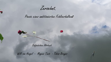 Zersehnt – Poesie eines ambitionierten Fehlverhaltens